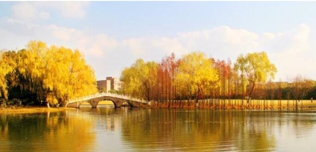 大学|这几所被合并的211大学,曾都是领域巨头,如今却再难闻其名!