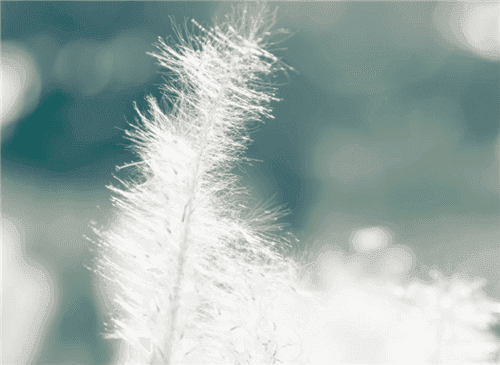 |走一走赚钱每天6元，这种APP靠谱吗？