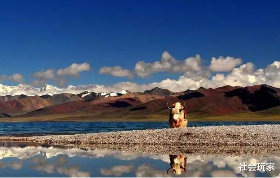 西藏旅游|为何去西藏旅游,多脏都不要洗澡,今天算是明白了