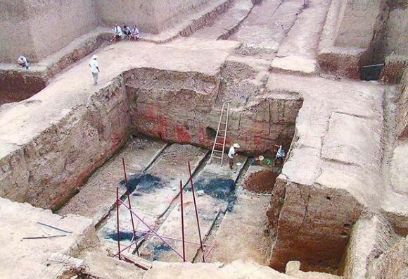 秦始皇|古墓出土秦始皇祖母的宠物,数千年前的异种,如今却早已灭绝