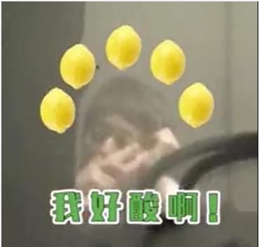 「马伊琍」马伊琍有新恋情？与神秘男约会被捏脸，亲密动作不断