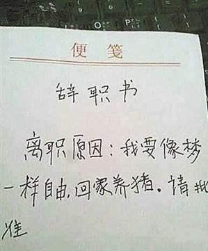 离职|员工离职都不说真实原因，领导看破不说破，过来人：心知肚明