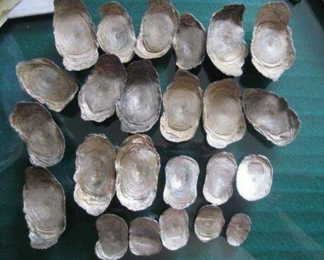 |农民装修房子挖出银子，被要求无偿上交国家，最终结局如何？