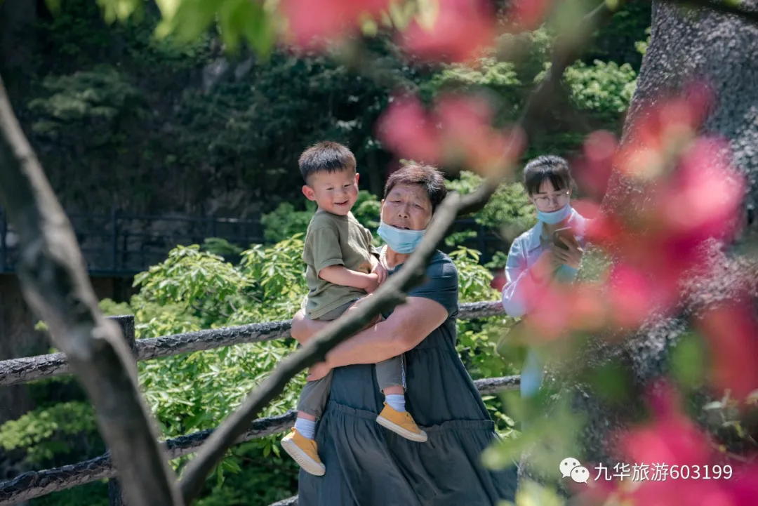 九华山@这个“五一”,九华山为何频频亮相央视?