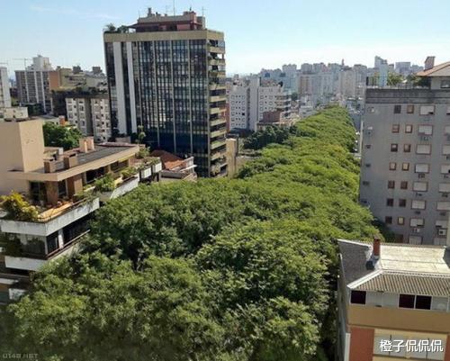 山东省 阿雷格里港 南半球著名港城