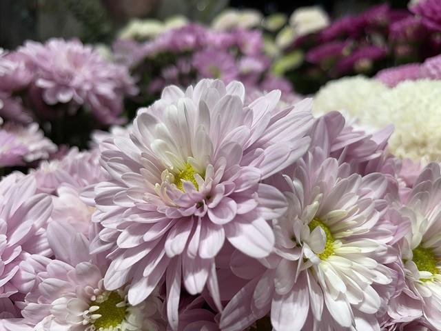 iphone12|最全iPhone 12/12 Pro全面评测 看我一篇就够了