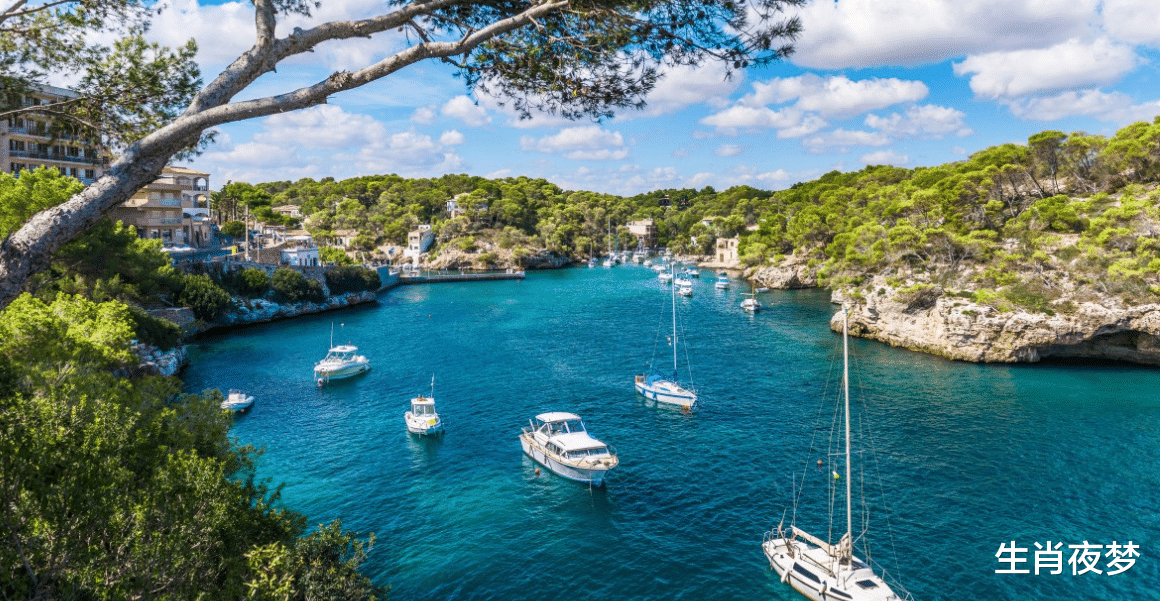 生肖|8月底，爱得掏心掏肺，不肯分手，3生肖挽留旧情人，重新在乎你