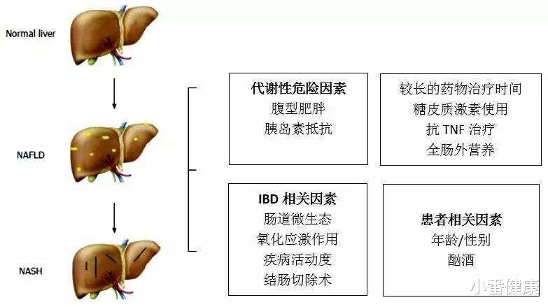 静脉血栓|乙肝加拿大前瞻性试验，慢性肝病或糖尿病者，应接种乙肝疫苗