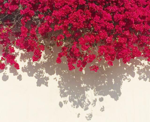 天蝎座|不会撒娇,也依然拥有异性偏爱的星座女,活得漂亮,才华取胜