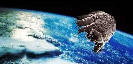 太空|5亿年前就存在的生物，连核武器都不怕，或成为人类未来希望