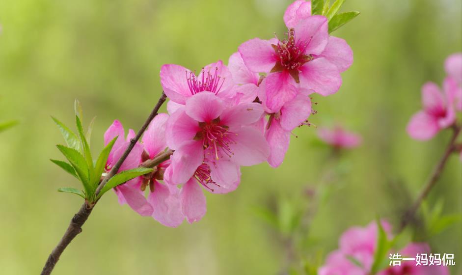 『生肖』6月21号最旺的3大生肖，“生财之局”进入人生上上吉，发财到年底