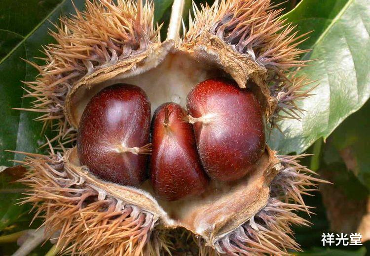 『营养膳食』过了45岁的男人,若是发现肾脏“力不从心”,6物坚持吃,肾年轻