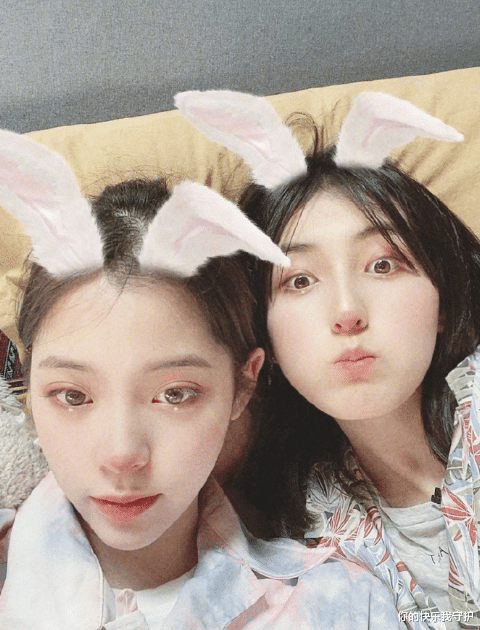 张子枫|张子枫高考结束后,终于传来“好消息”,看到是啥:粉丝集体沸腾