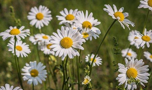 旧爱|10月将临，倾心相诉，桃运飙升，真爱重回，重拾爱情，再续前缘