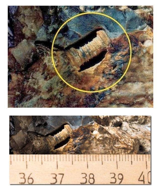 移民|如果发现了数亿年前不该存在的东西,人类是否要警惕呢?