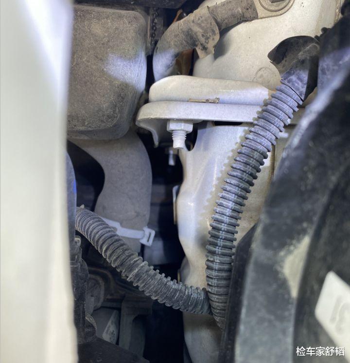 福克斯|6万买辆2.0手动福克斯，踩离合传出意外声响，还有人吹极致操控？