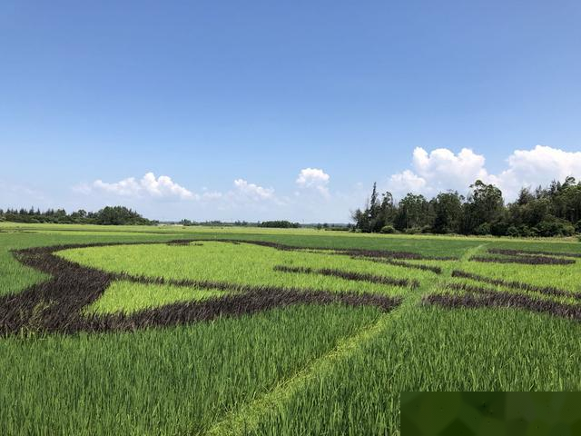 海南东线西线究竟有多大的区别？为何房价相差那么远？买房怎么选