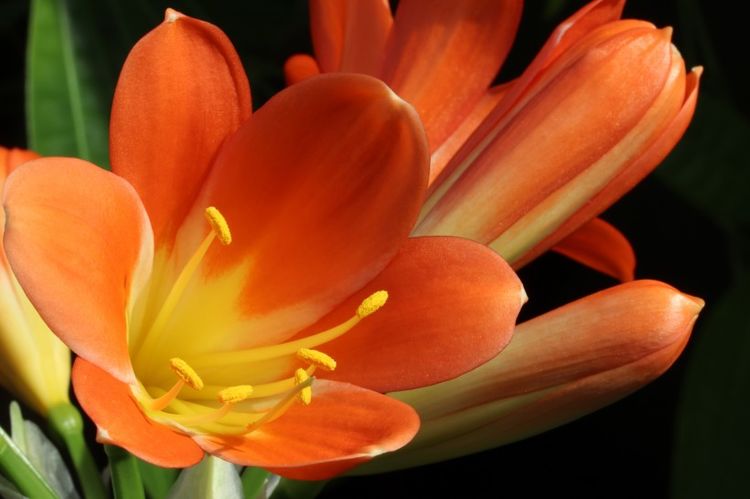 直男|9月份下旬起，好运常伴左右，财运不离不弃，诸事大吉的四大生肖