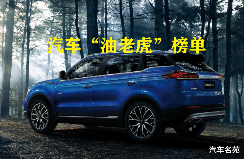 【国产车】最新汽车“油老虎”榜单出炉，几乎都是国产车，网友：董明珠没说错！