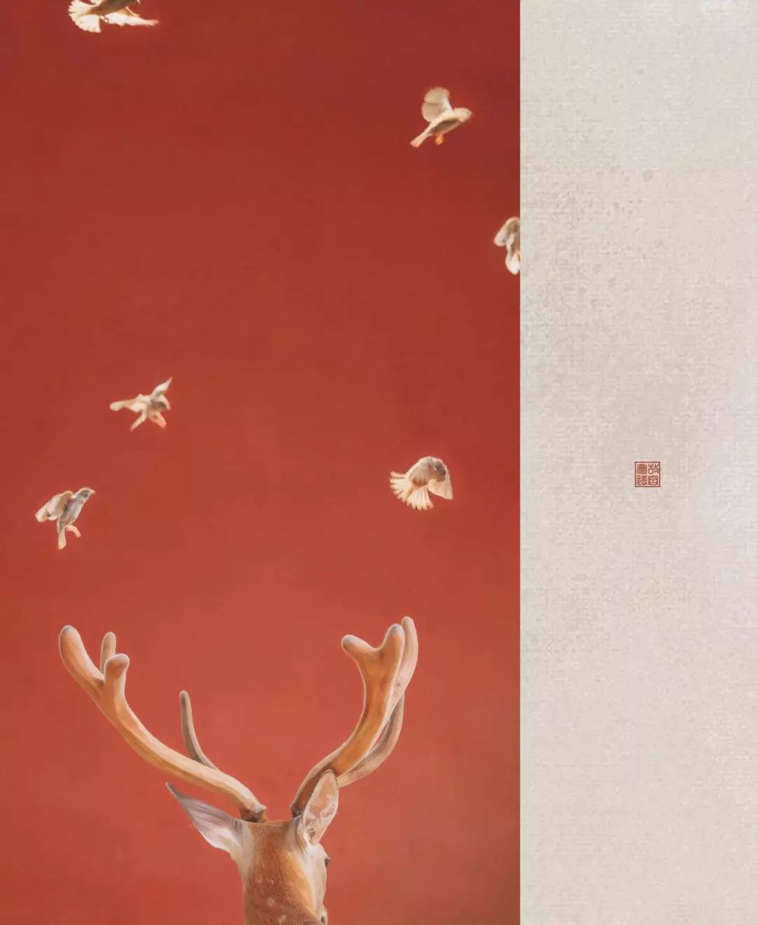 全网爆火的故宫雪景图和猫，是她拍下的。