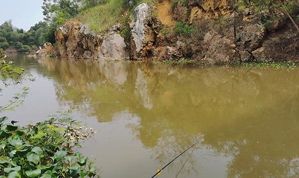 |钓鱼经常脱钩的原因找到了，今天分享给大家