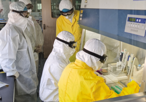 「墨子号」新冠病毒席卷全球，男性比女性更容易感染？科学家研究后得出结论