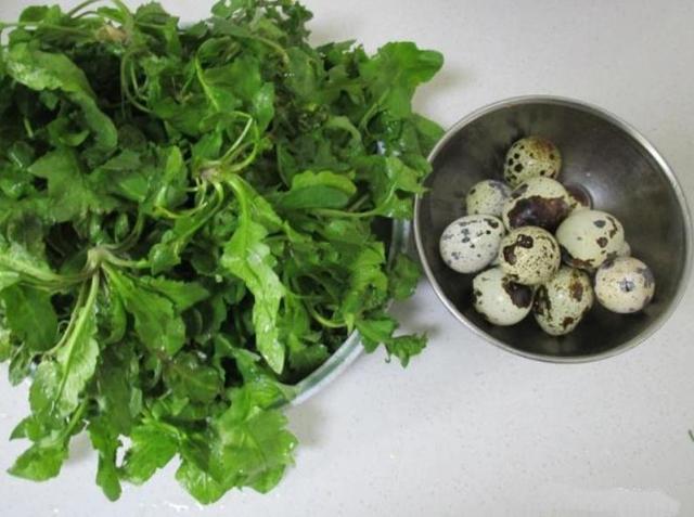 『鹌鹑蛋』春天要给孩子吃这菜，能加快大脑发育，护眼长个子，比喝牛奶强！