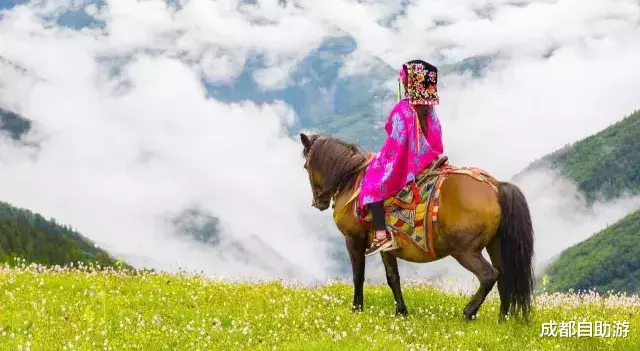 『川西』不输俄么塘！川西又一冷门万亩花海开放，不收门票，赏花观云还不打挤