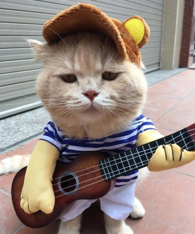 睡觉就睡觉，你掰我天线干嘛