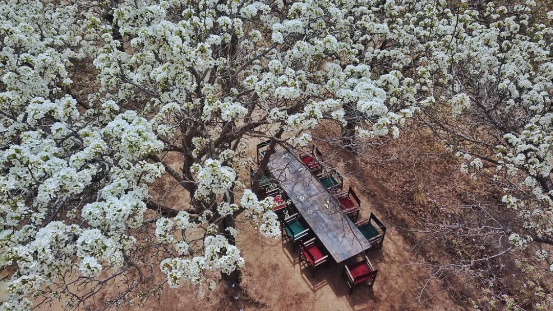 旅行|国内最适合一个人旅行的15个地方，累了就出来走一走吧