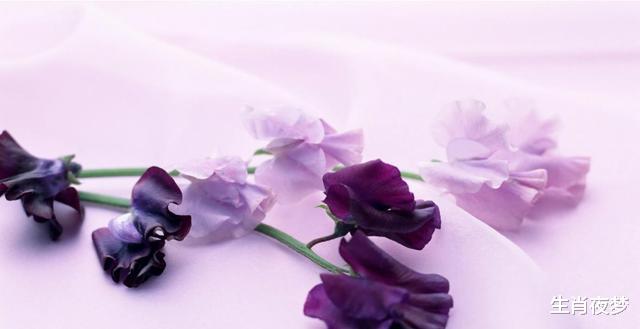 生肖|8月，情人相会，再续良缘，3生肖痴情不忘，共度一生，不离不弃