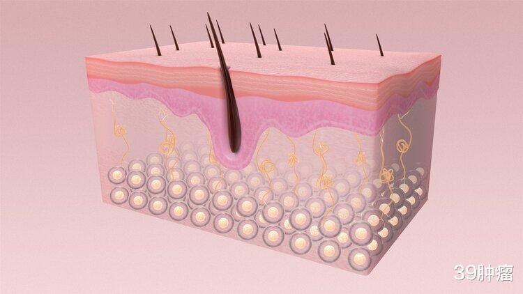 医生|为什么屁股上也会长毛？这种毛能刮掉吗？医生劝你别乱剪