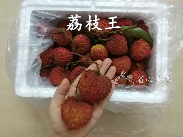 五花肉|如何才能做一个合格的吃货？