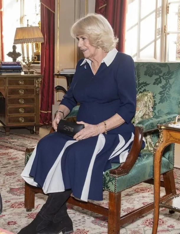 『连衣裙』卡米拉下狠劲!蓝色连衣裙减龄不少,减肥20斤腰上还是一大圈肉