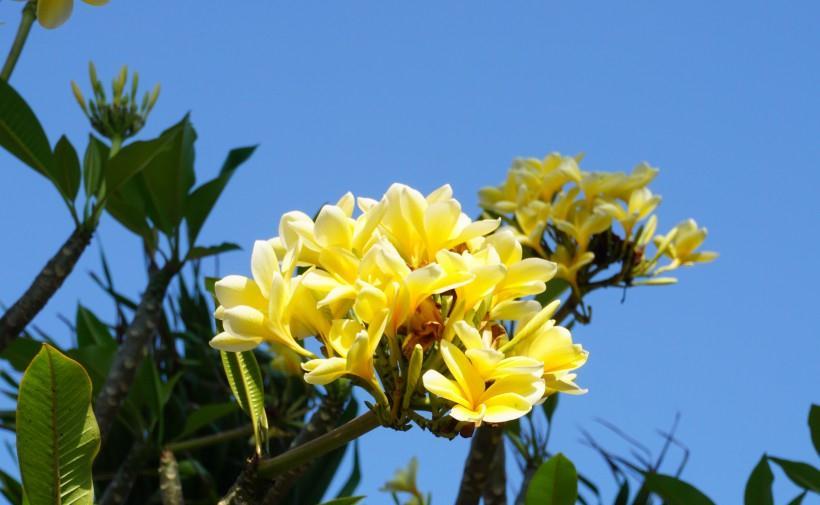 射手座|10月开始，桃花运将会十分旺盛，有机会遇到真正的爱情的四大星座