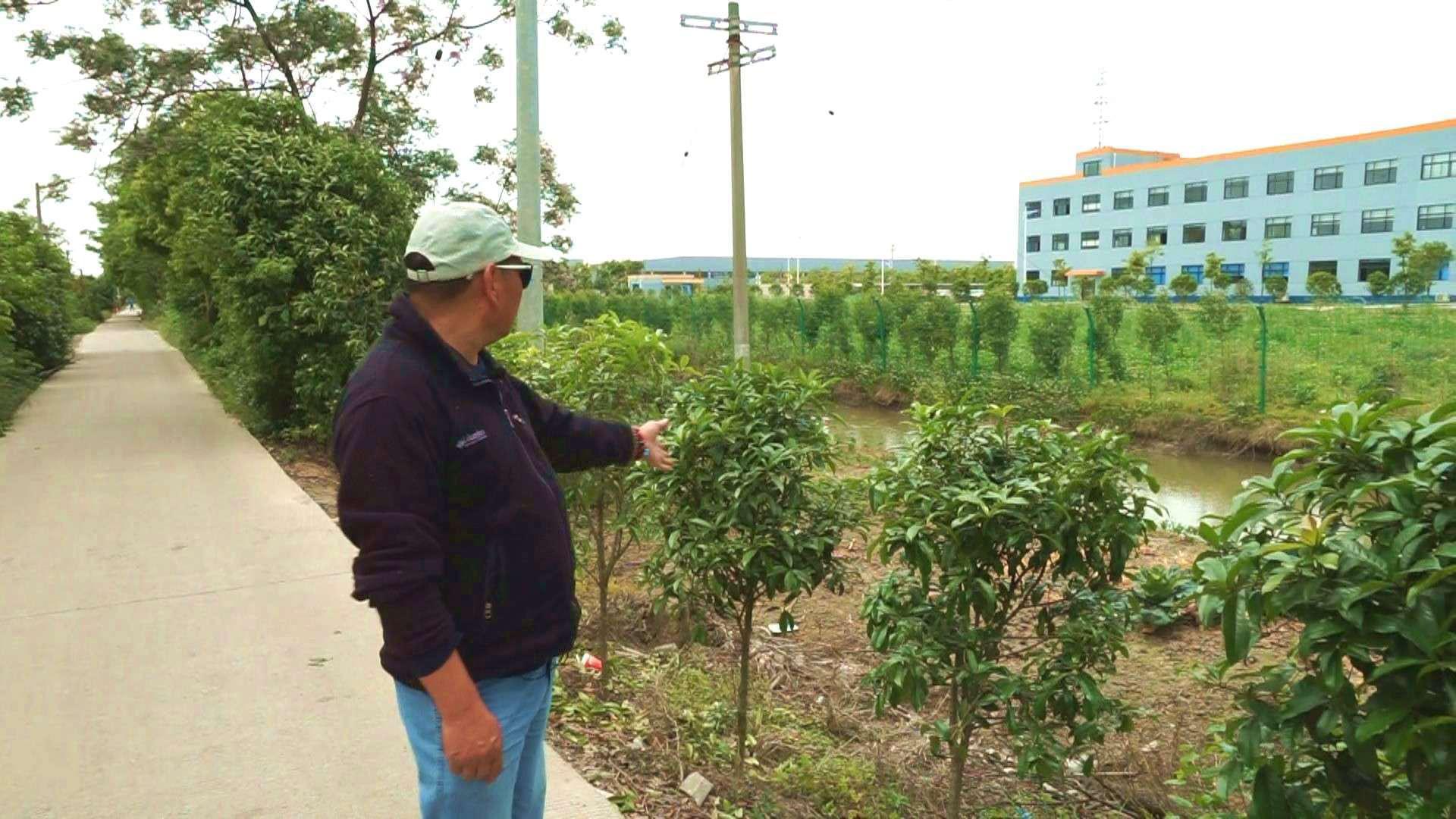 @你还在买小龙虾吃吗？这里不要钱！刺激好玩，还能美餐一顿！