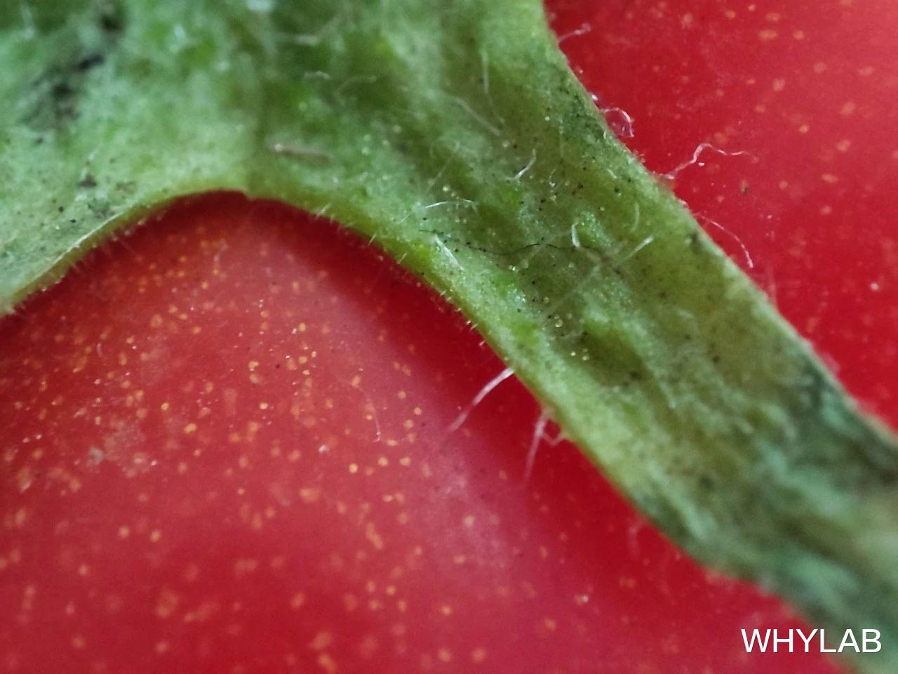 红米手机▲拍月亮已经过时了，Redmi K30 Pro 想让你数毛