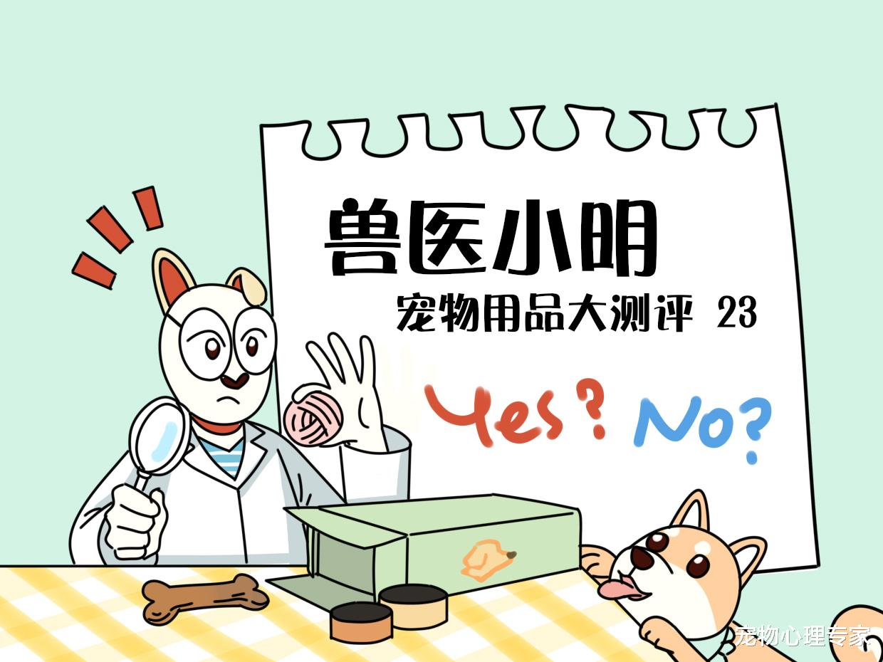 狗粮吃腻了想换新口味？3款狗零食罐头测评，让你更宠爱主子