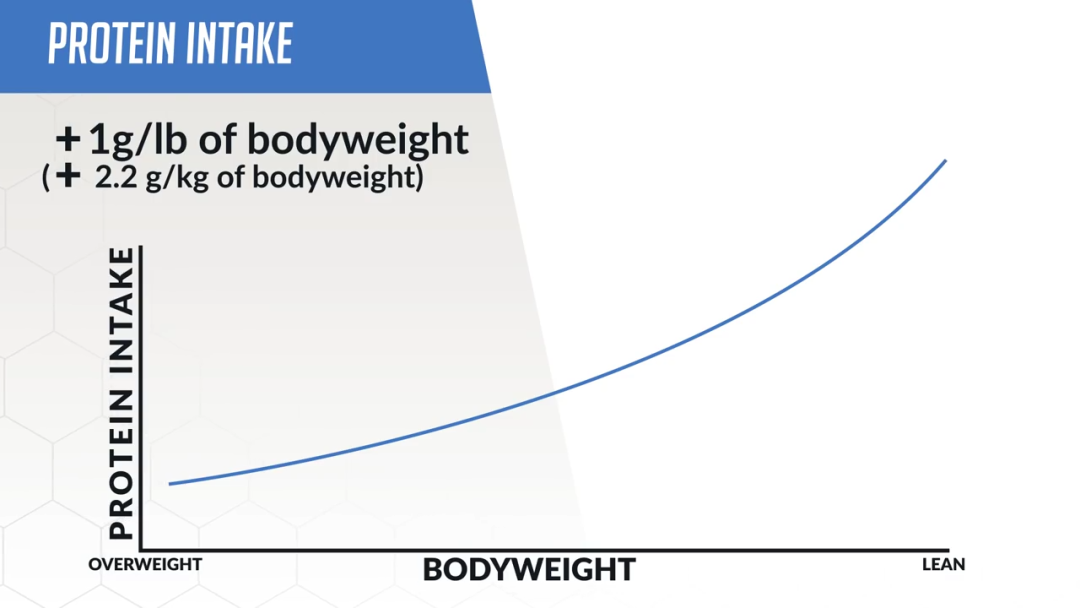 [减脂]想要同时增肌和减脂，怎么练、怎么吃？