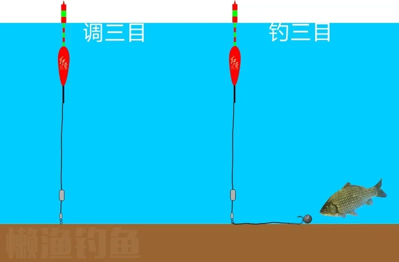 |微微一笑一夜画了20多张图给大家讲双铅调漂,一分钟就看懂了