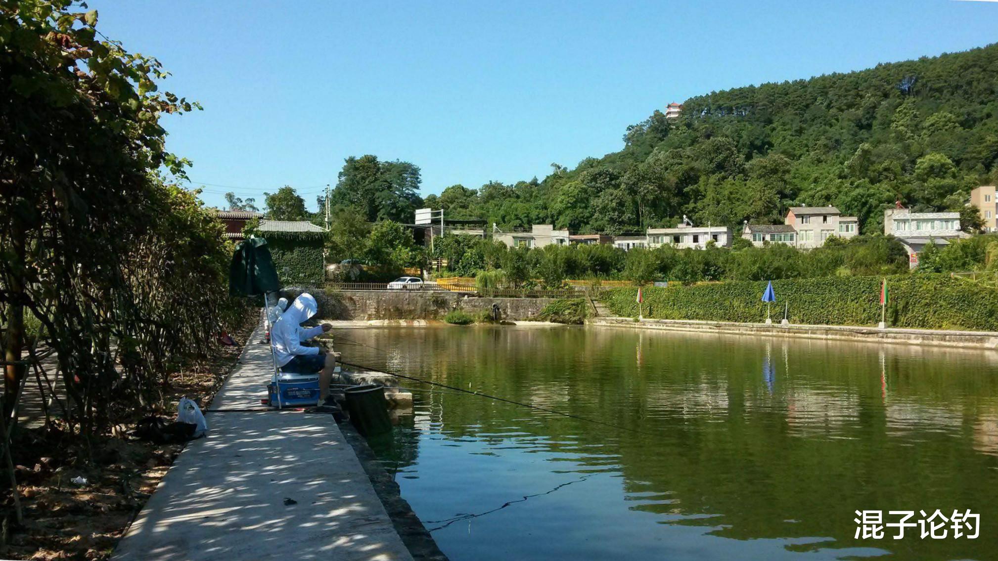 []面对黑坑老滑鱼和回锅鱼不知所措？简单几招就轻松破解