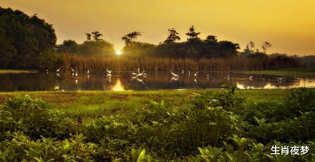 生肖@5月底，旧情难消，真爱难移，3生肖越爱越痴迷，一朝相爱无法分开