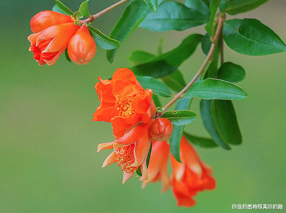 「运势」6月中旬,吉星降临,4属相运势越来越好,贵人相助,发展更顺利