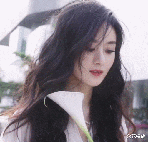 赵丽颖|颖宝拍绝美大片，温婉优雅、宛如仙女！评论区却成为了亮点！