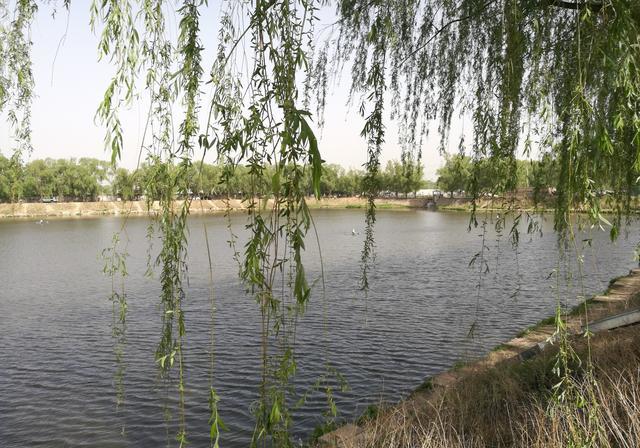 鲫鱼|四季钓鱼有法则？鱼不知道秋冬会降温---皇禾渔具