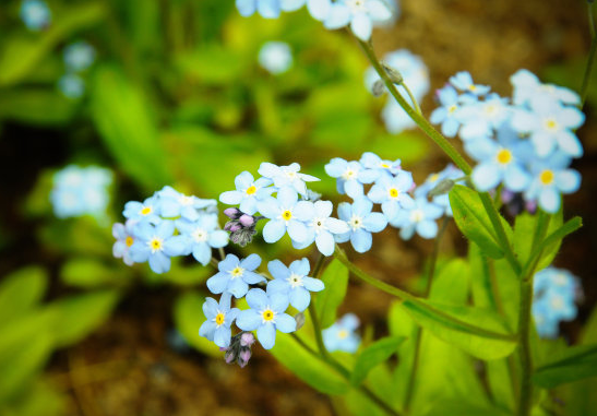 【运势】到了5月中旬，4属相有福有财，横财连连发，生活越来越好