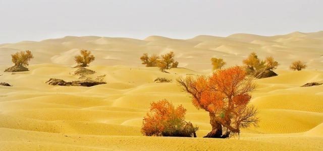 贝加尔湖|沙漠地带的塔里木盆地，有着大量水资源？专家称可抵十个贝加尔湖