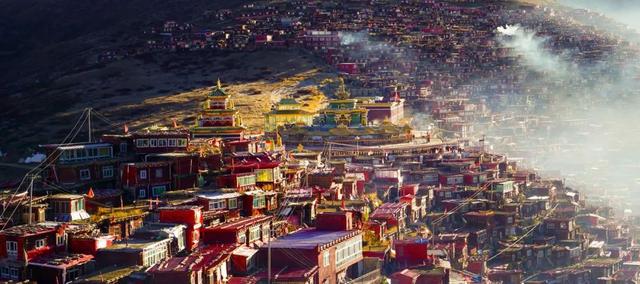 胡杨林|再过30天，全世界都要羡慕死中国了