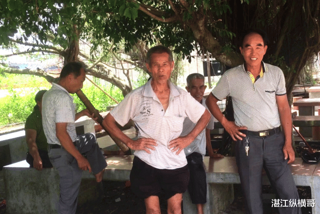 湛江纵横哥|湛江是个奇葩的地方，一个县市区有几种方言，你家乡有几种？