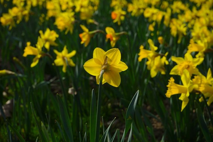 天秤座|11月将至桃花旺，喜鹊报喜送真爱，将喜结良缘甜蜜一生的4大星座
